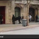 Spanish police participate in raids related to the alleged pirate ring.